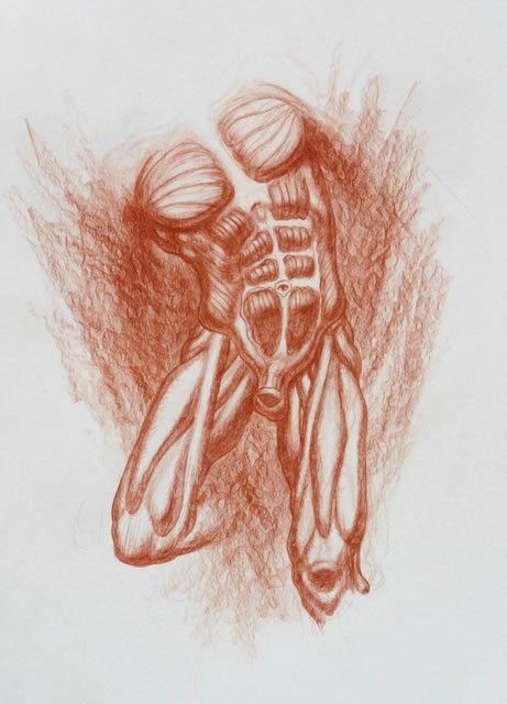 Michael M Hensley Master Draftsman Of The Human Form Artistic Anatomy Humanis Anatomicae