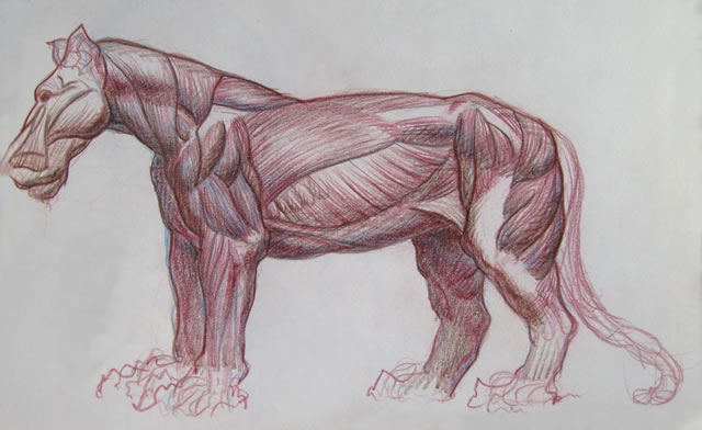 Michael Hensley, The Art of the Horse | Equine Studies | Anatomy of the Horse | Large Cats | Feline Studies | Anatomy of the Cat Michael Hensley, The Art of the Horse | Equine Studies | Anatomy of the Horse | Large Cats | Feline Studies | Anatomy of the Cat
